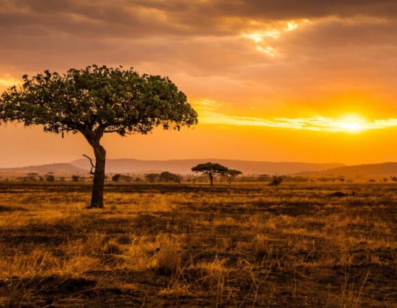 5-Day, 4-Night Tanzania Safari