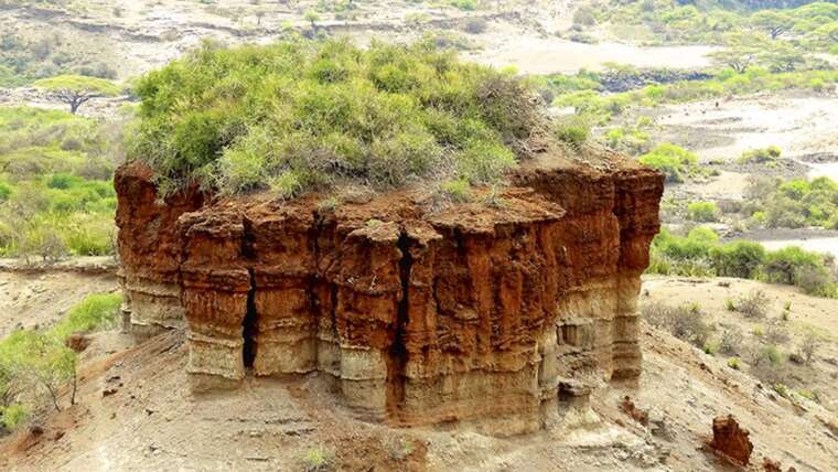 Explore Olduvai Gorge – The Cradle of Humankind