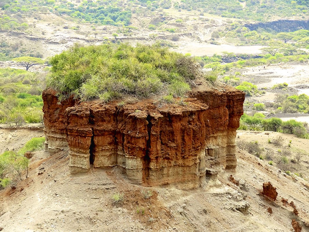 Explore Olduvai Gorge – The Cradle of Humankind