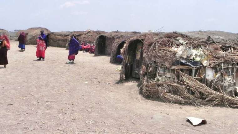 Immersive Maasai Boma Visits in Ngorongoro – A Journey into Authentic African Culture