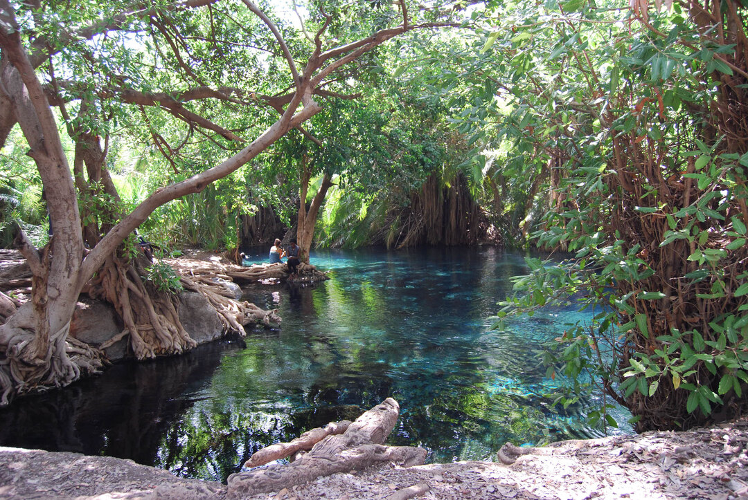 Materuni Waterfalls, coffee tour & Kikuletwa Hot Springs