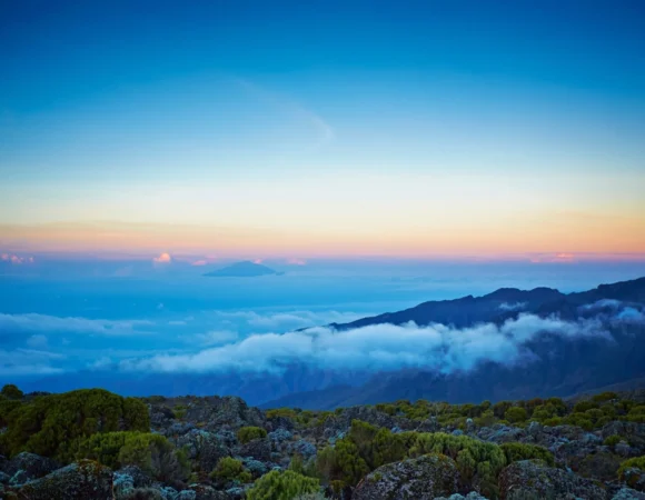 11-day trip: climbing Kilimanjaro