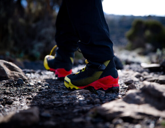 8-day trip: climbing Kilimanjaro