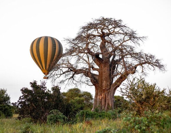 Hot air balloon flight in Tarangire