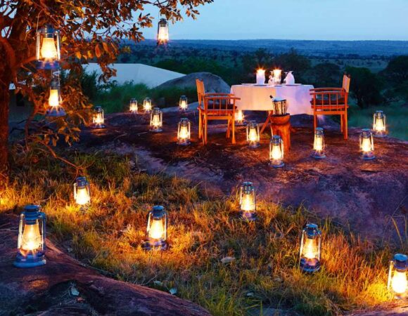 Bush dinner in the Serengeti