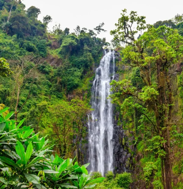 Walk from Materuni village to Kuringe waterfall