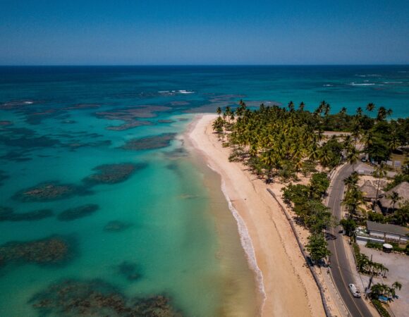 10 DAYS SAFARI MIKUMI